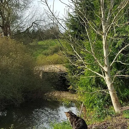 럭셔리텐트 The Llama Hut Kirklevington